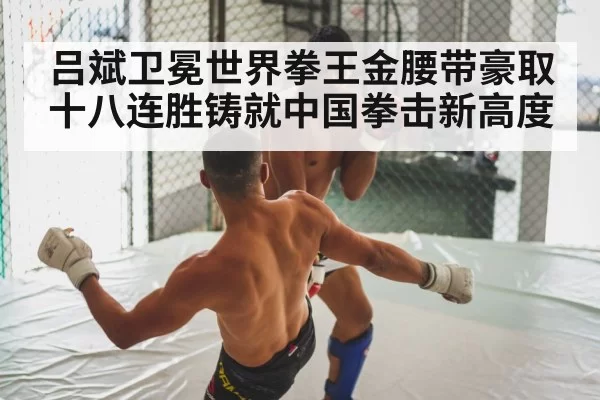 boxing fight